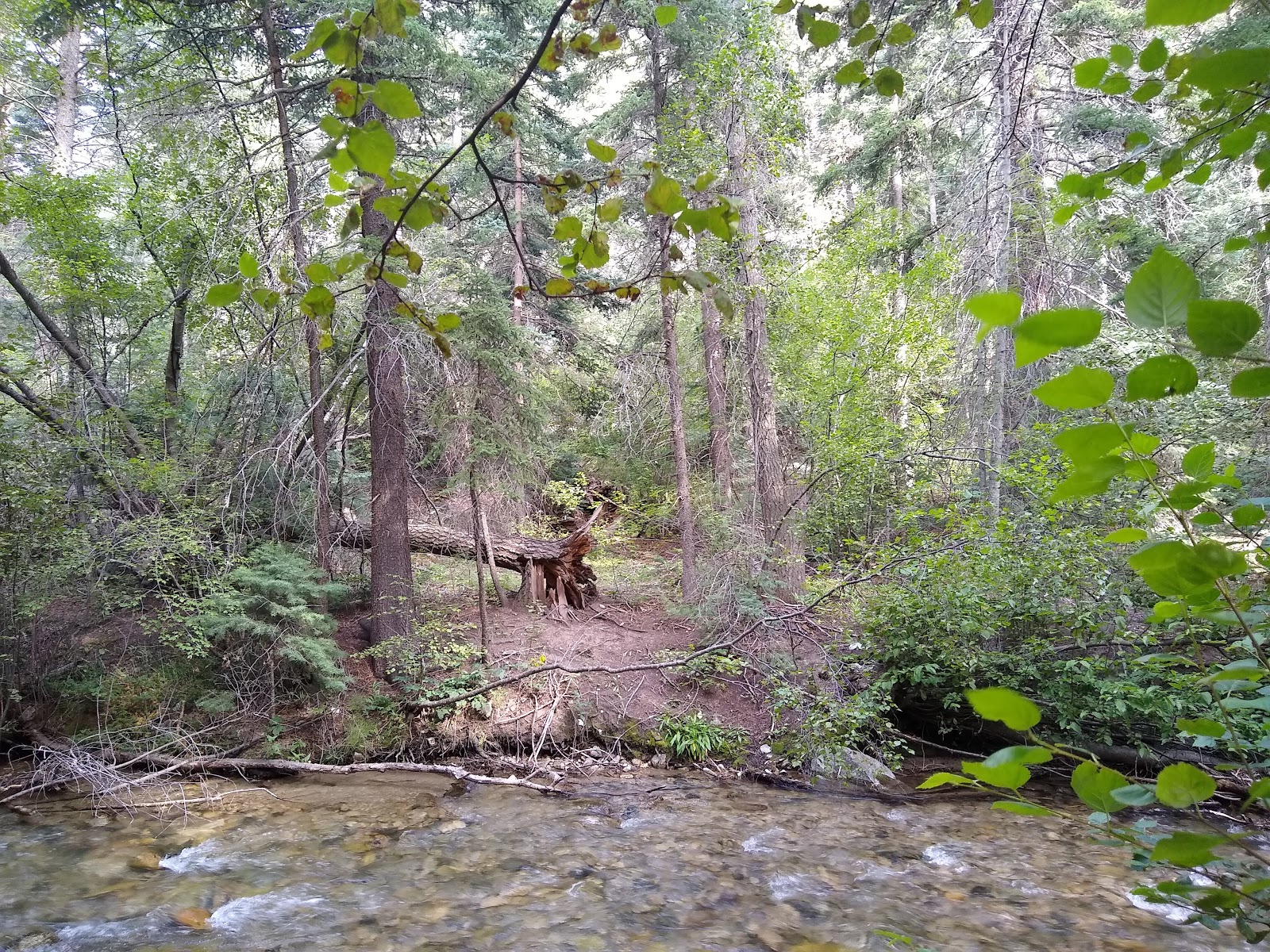 Lower Hondo Campground