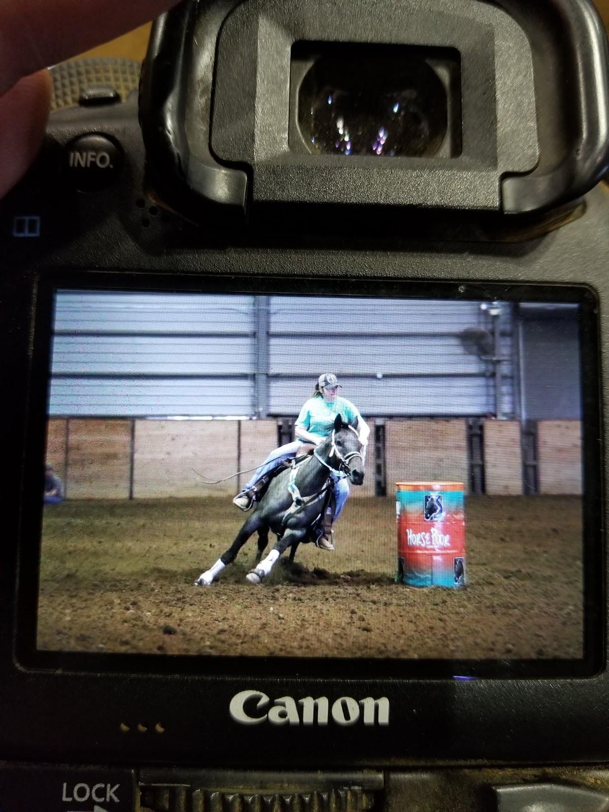 Mississippi Horse Park