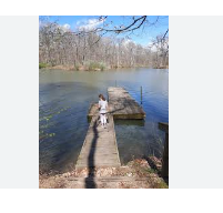Fox Squirrel - Walnut Point State Park