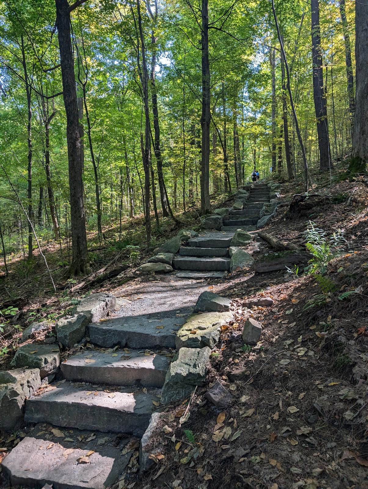 Mt. Philo State Park