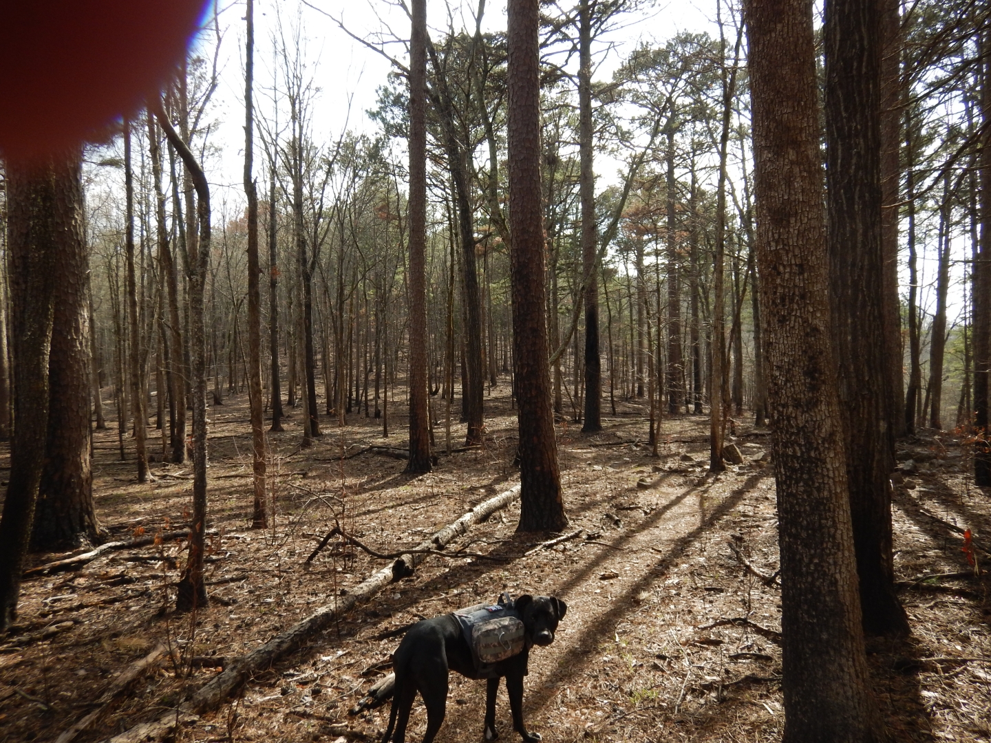 Redding Recreation Area & Campground