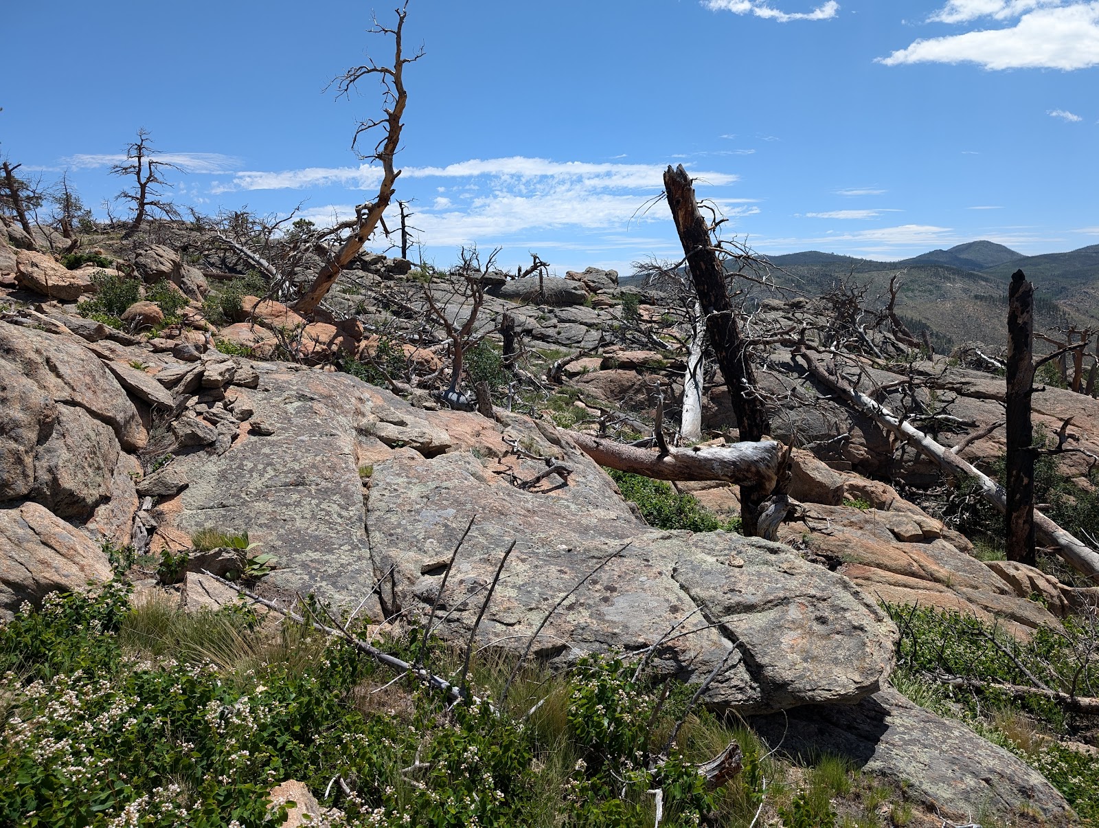 Mountain Park Campground-Roosevelt Nat'l. Forest