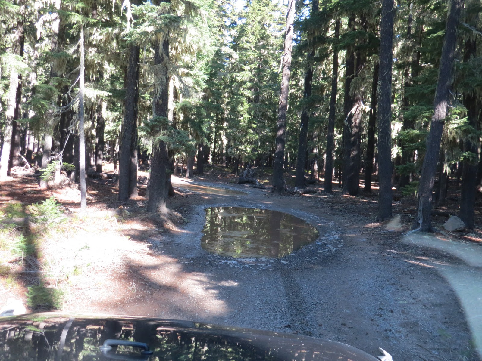 Harralson Horse Campground