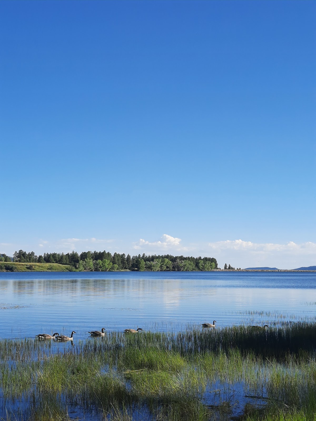 Main - Mancos State Park