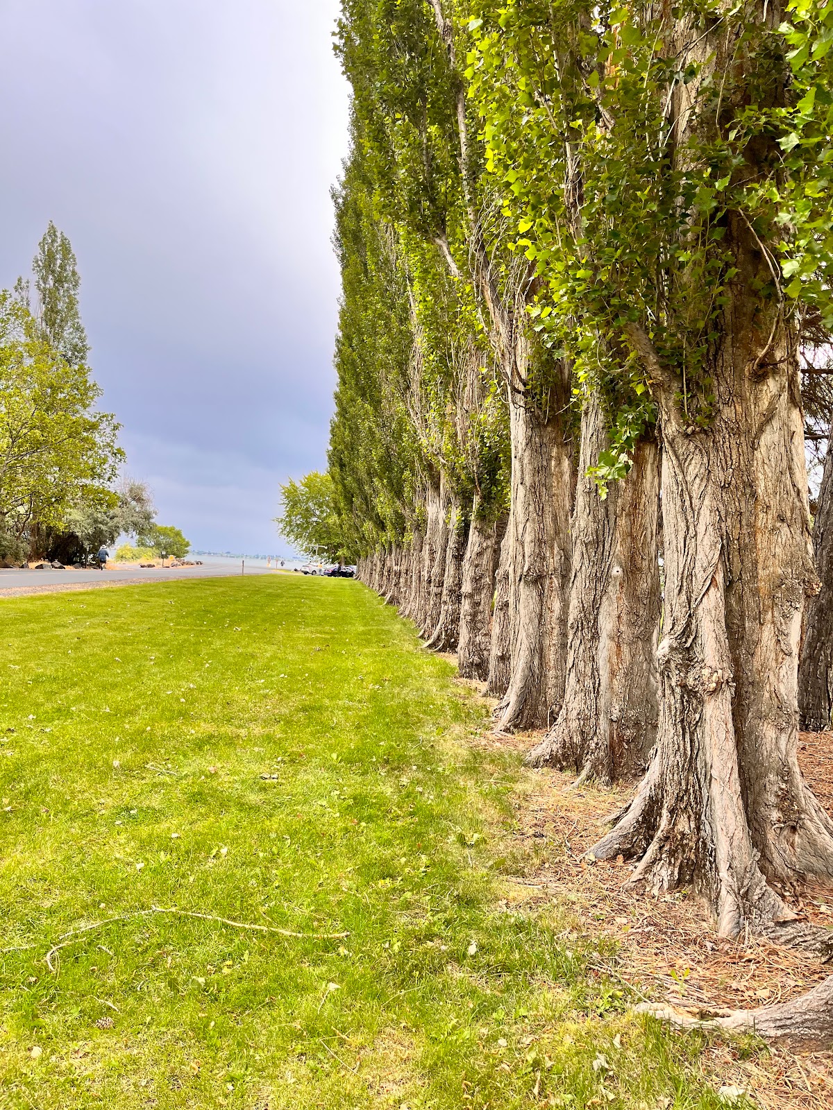 Potholes Golf Resort