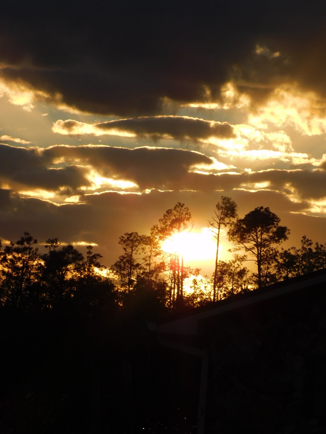 Augie's World RV Park & Campground