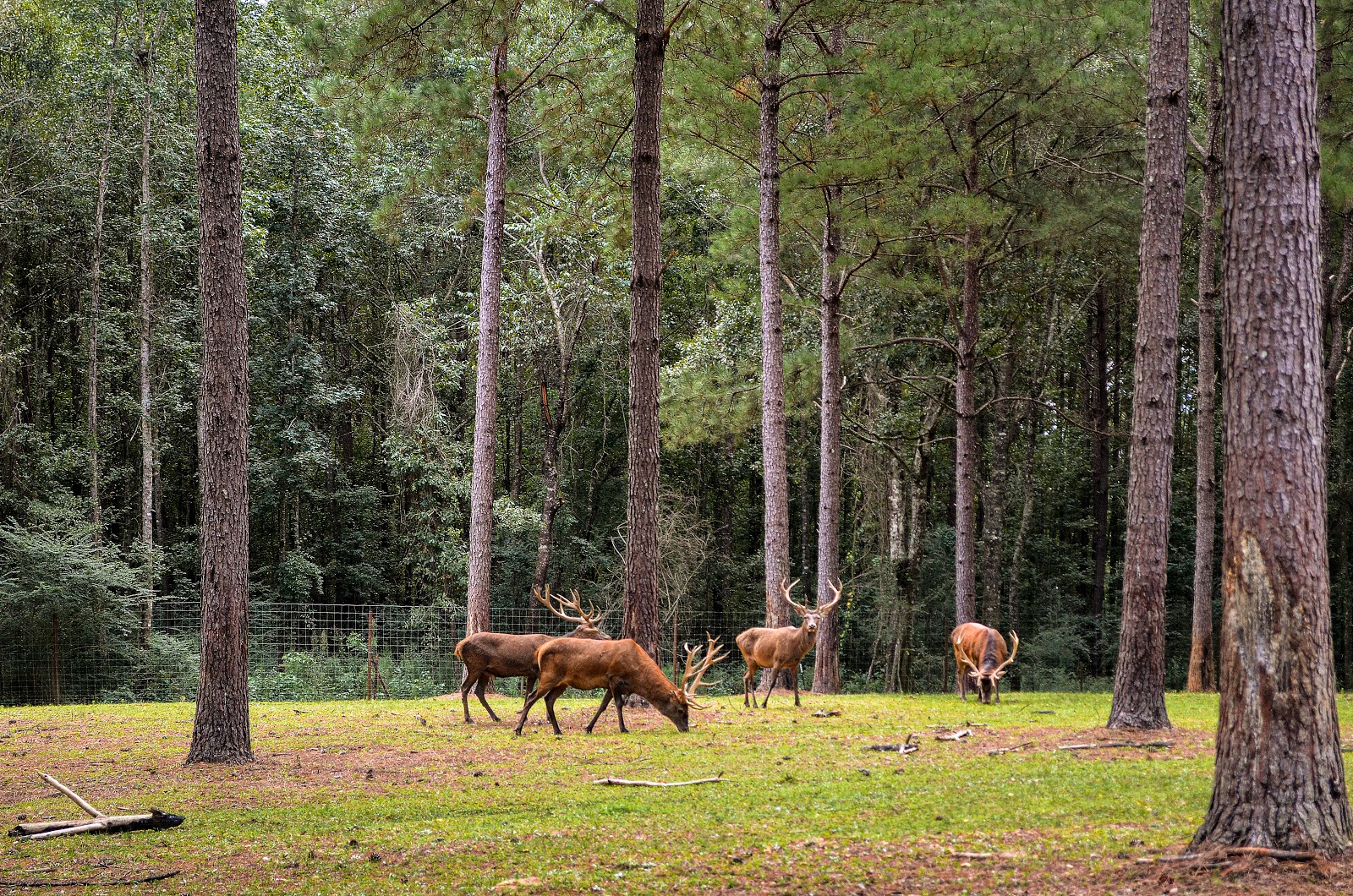 Paradise Ranch & Resort