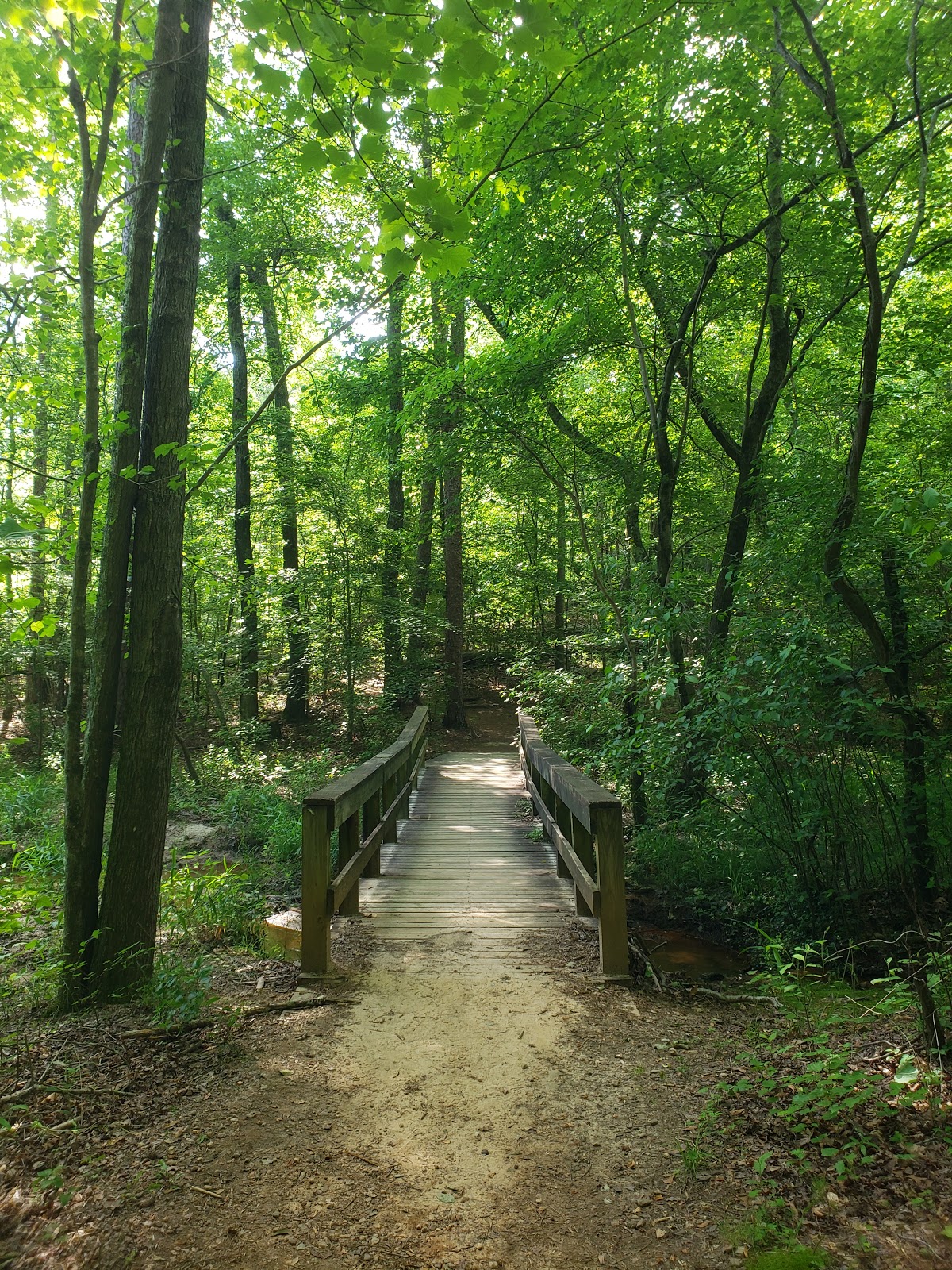 Buford Dam Park Shelters (GA)