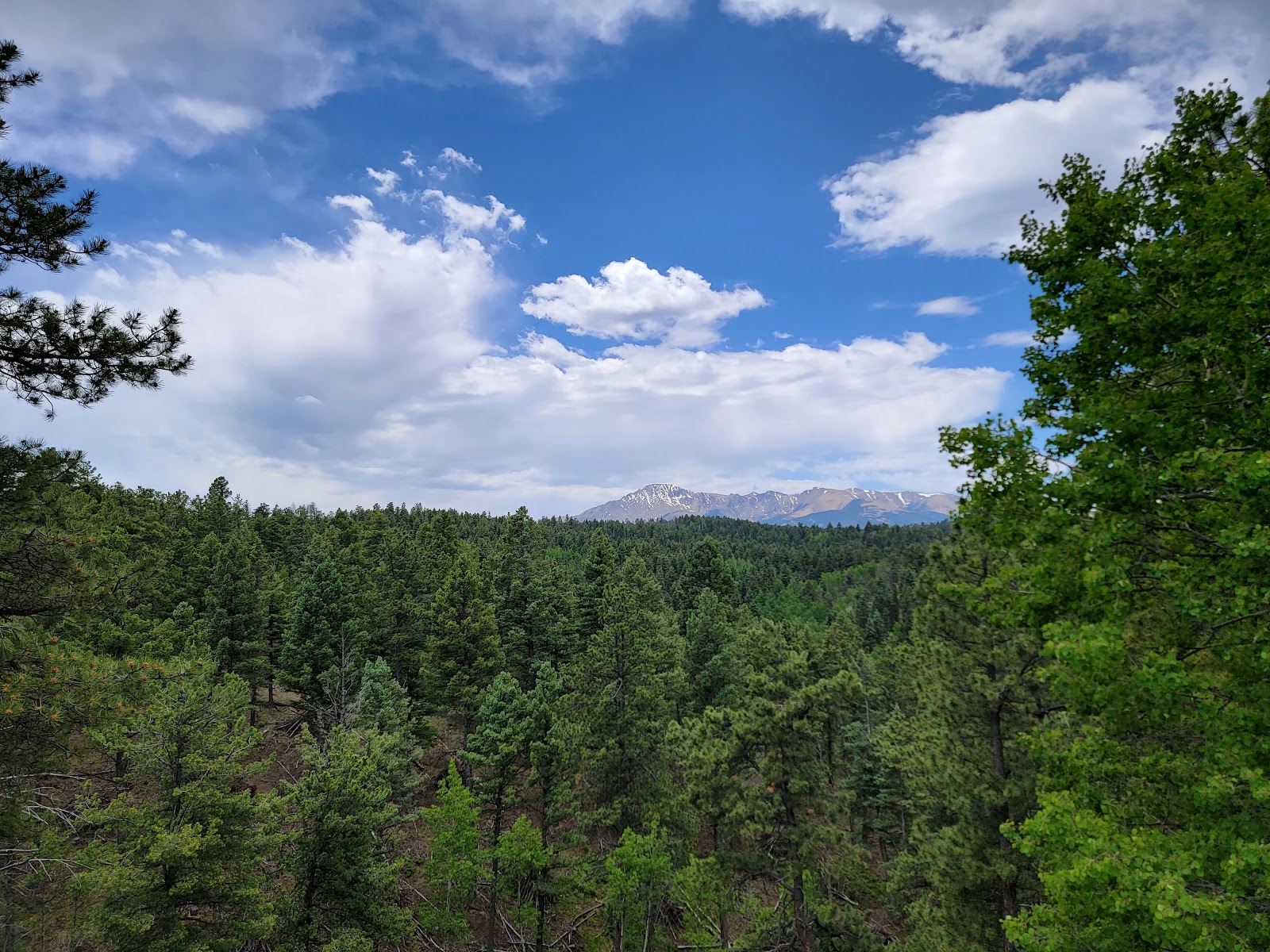 Springdale Campground