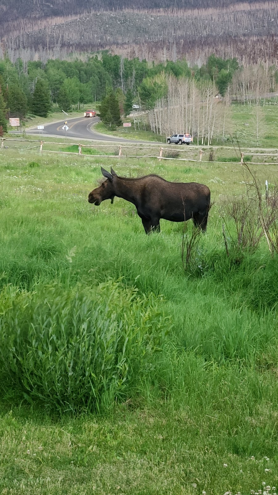 Rocky Mountain National Park
