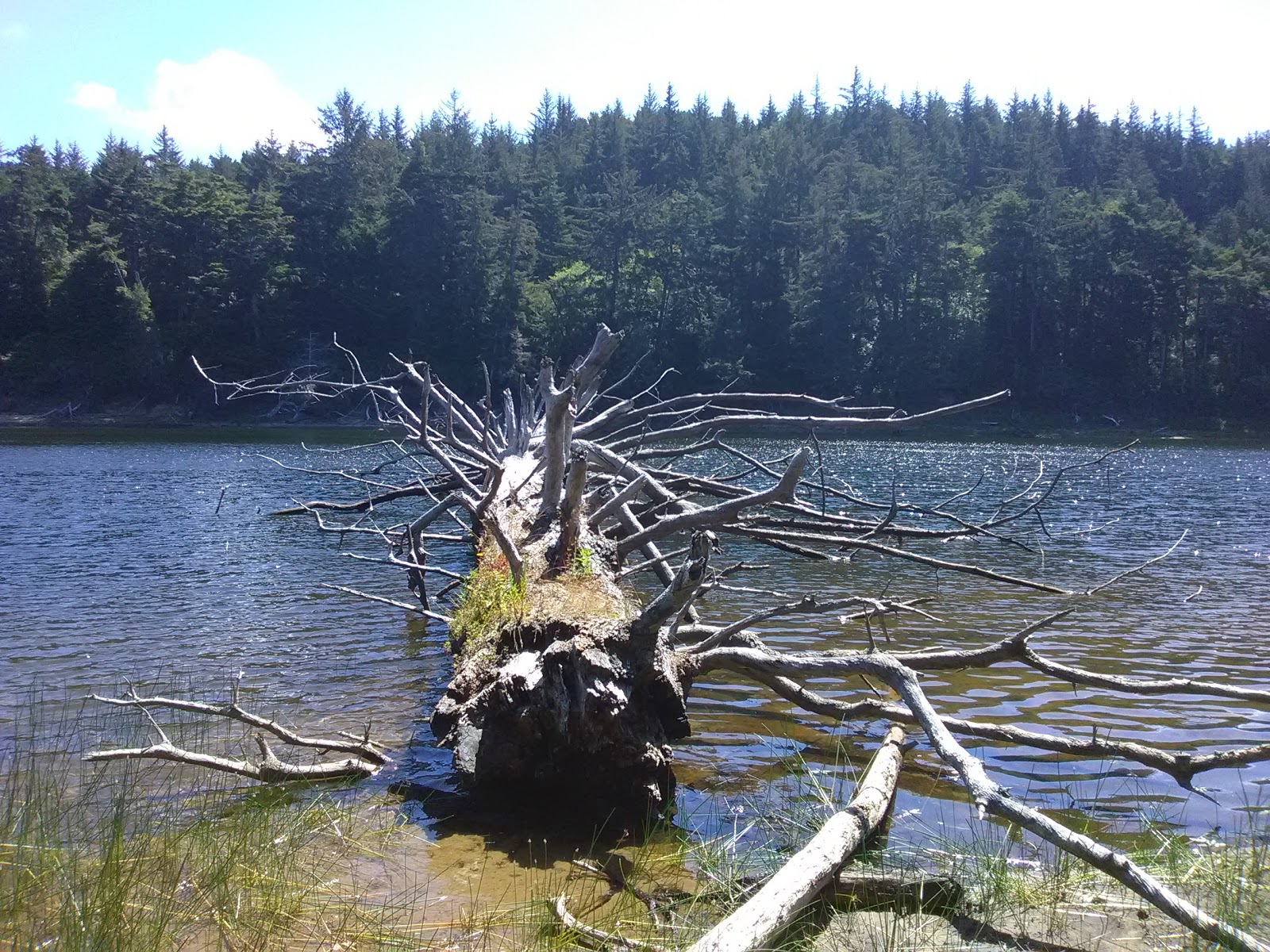 Carter Lake Campground