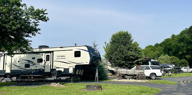 Buddy Bear In The Smokies Campground