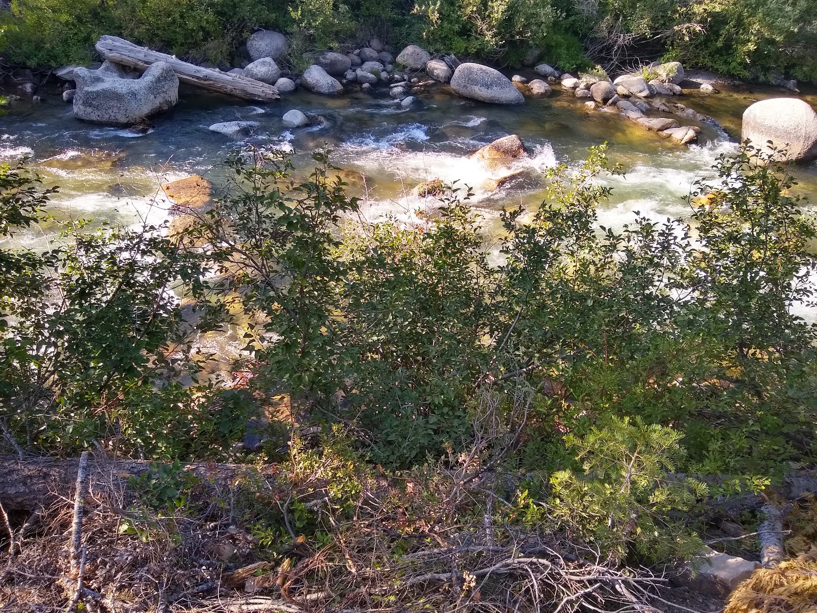 Pigeon Flat Campground