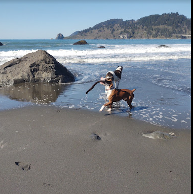 Mystic Forest RV Park