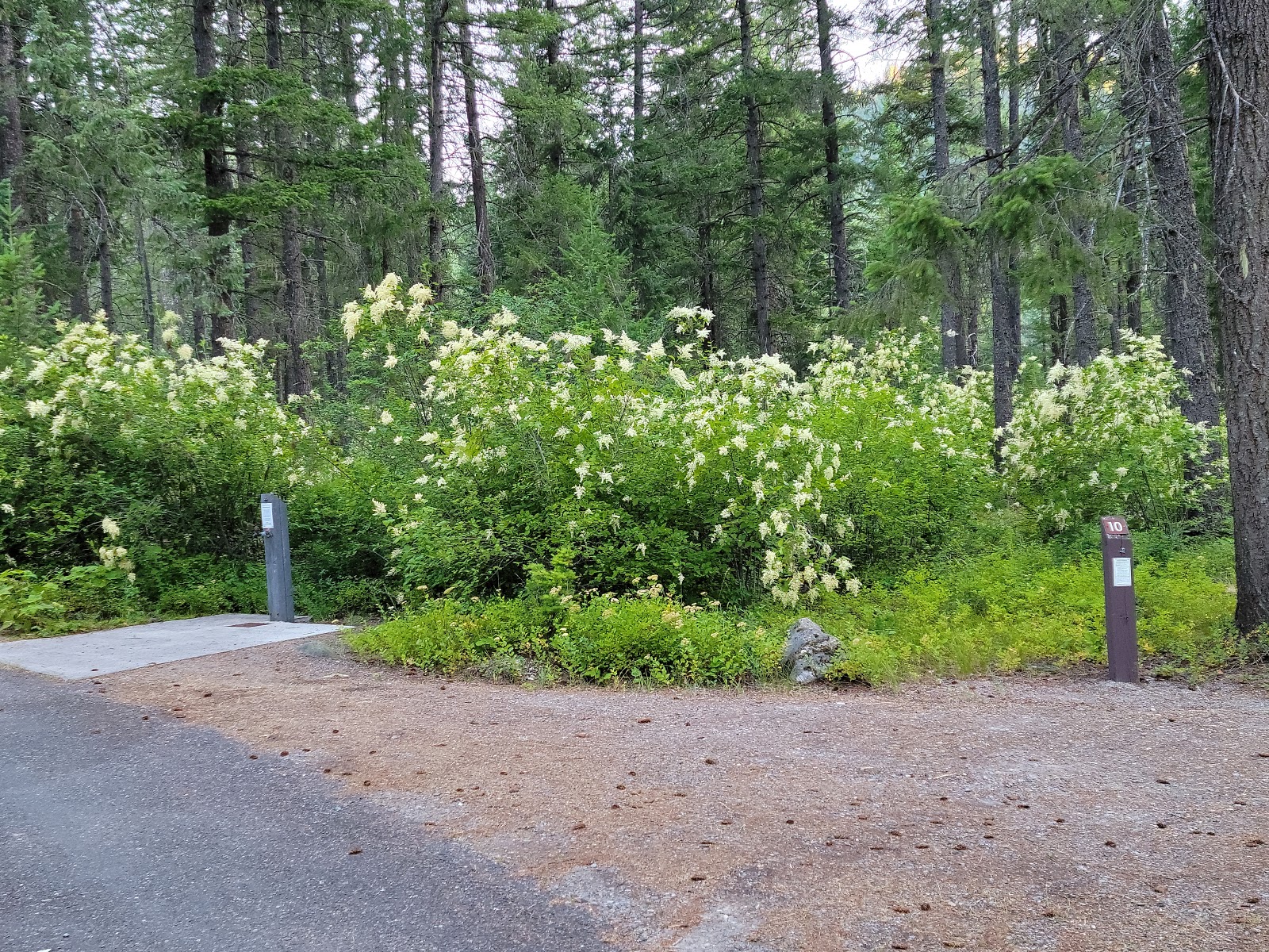 Bull River Campground