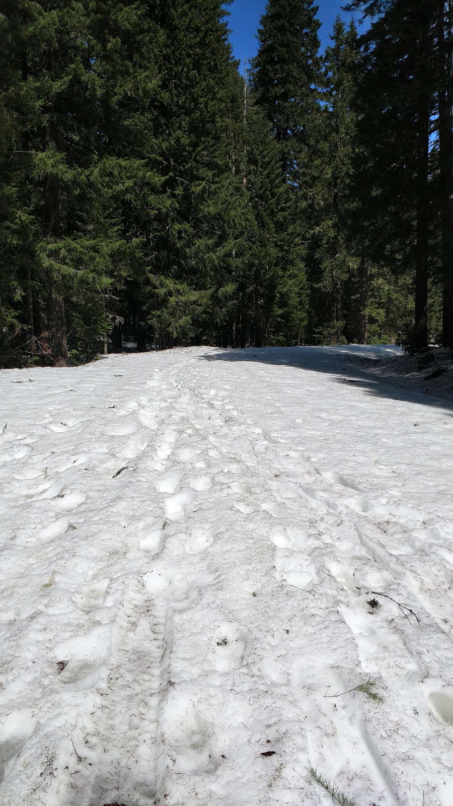 Box Canyon Horse Campground