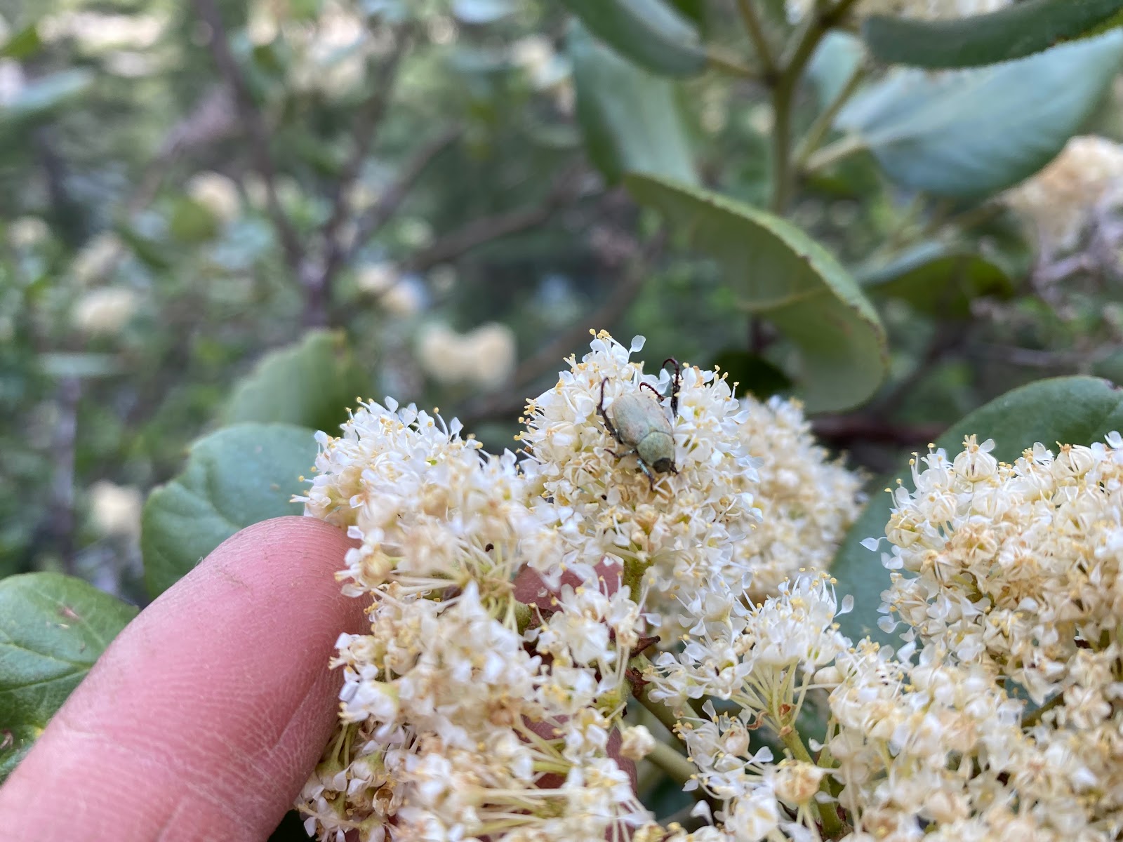 Mill Creek Campground