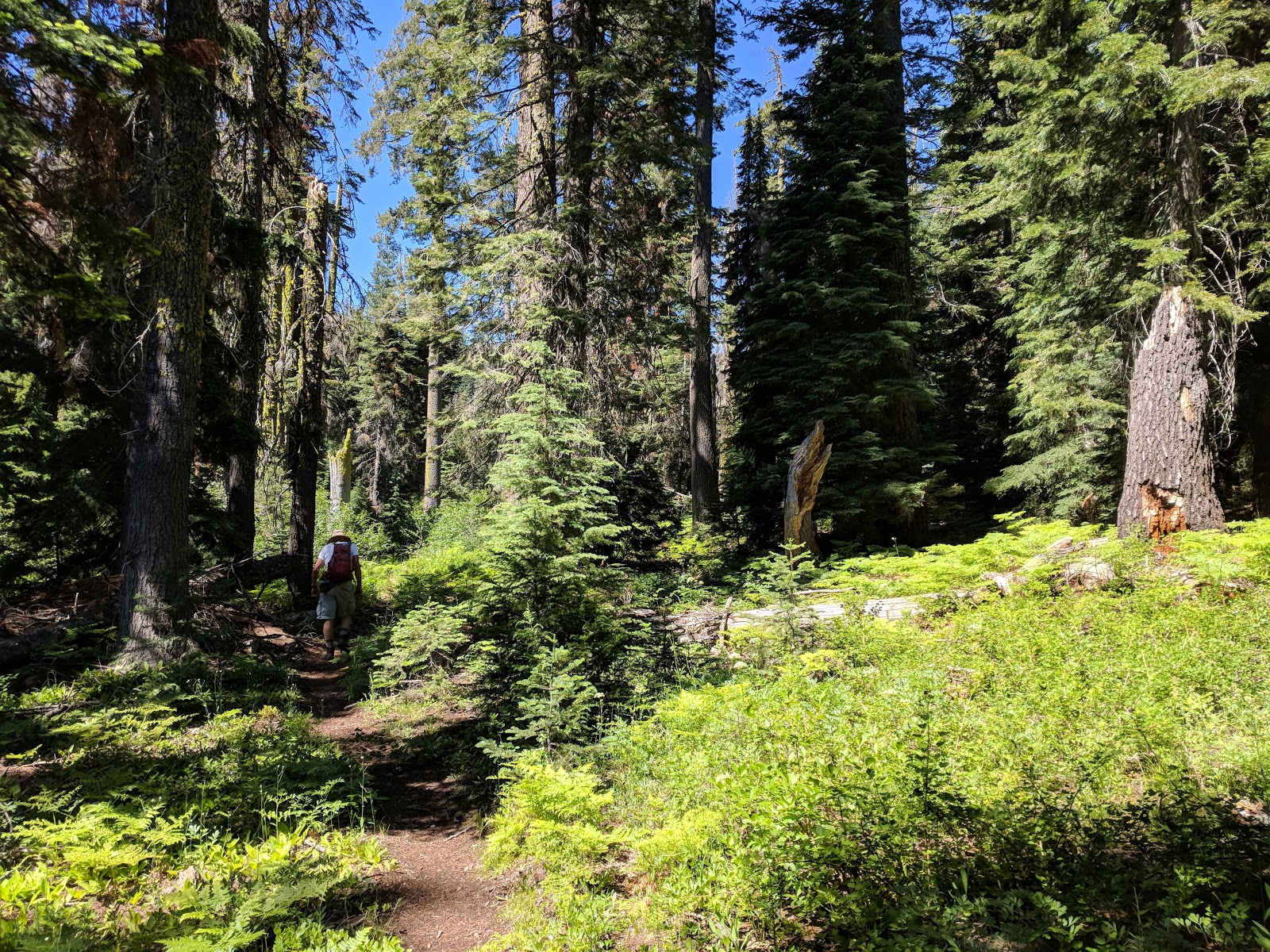 Mulebridge Campground