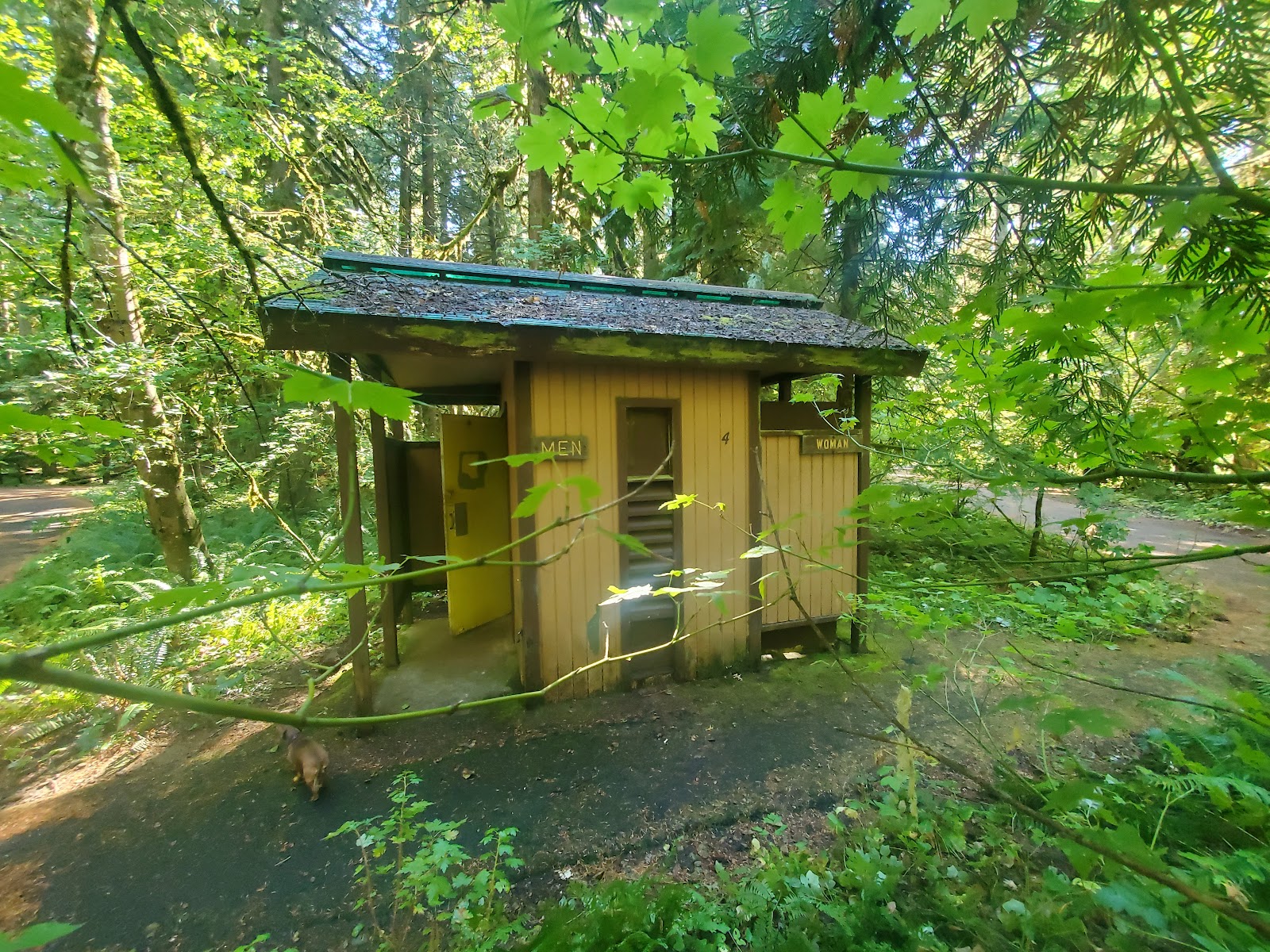 Paradise Creek Campground