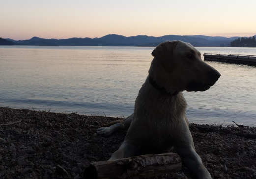 Dickensheet Unit - Priest Lake State Park