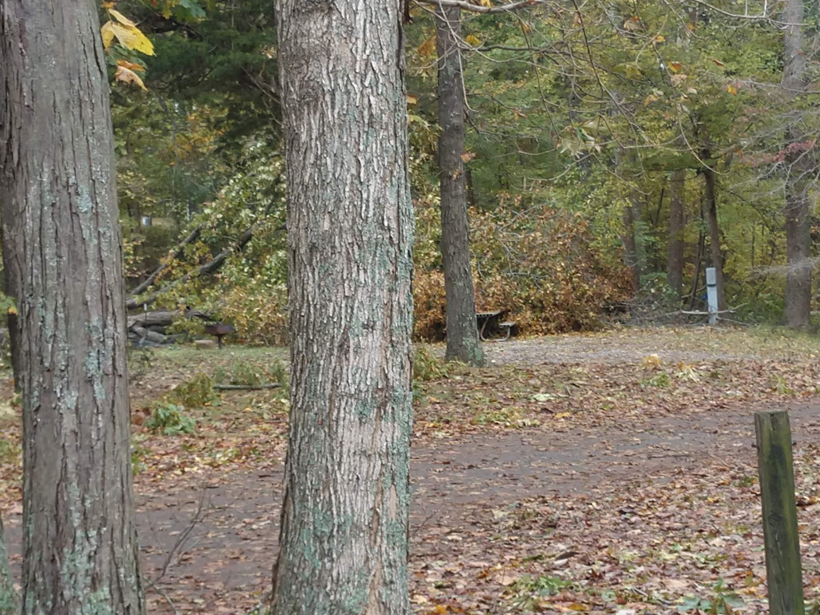 Military Park Eagle's Rest Army Travel Camp Fort Campbell