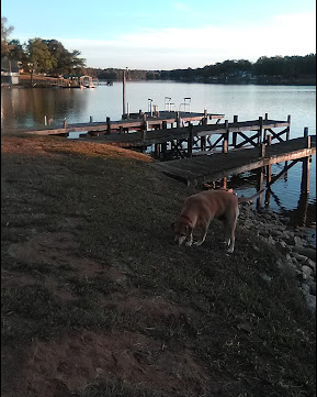 Four Seasons Resort & Marina