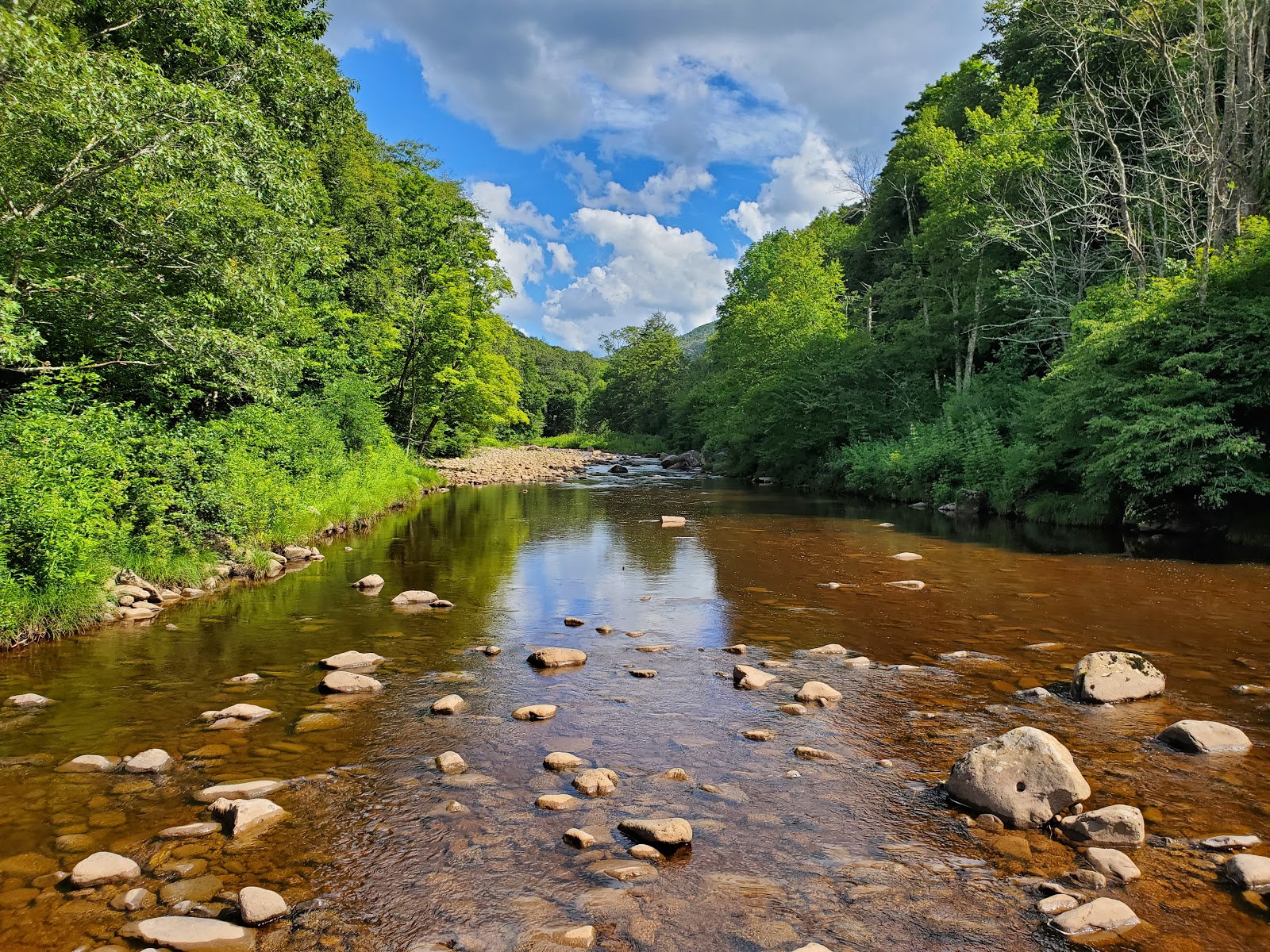 Tea Creek NF Campground
