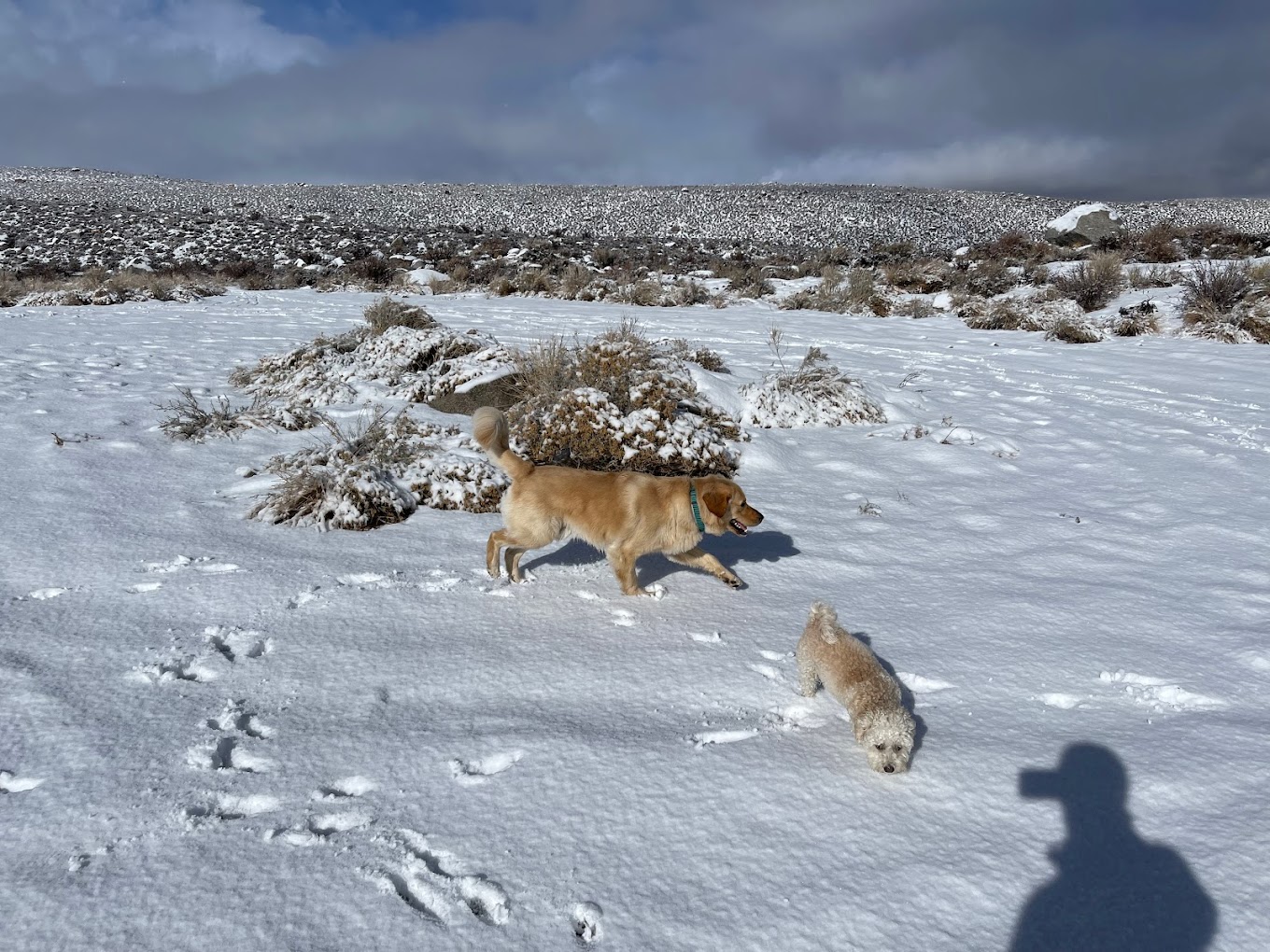 Big Trees Campground