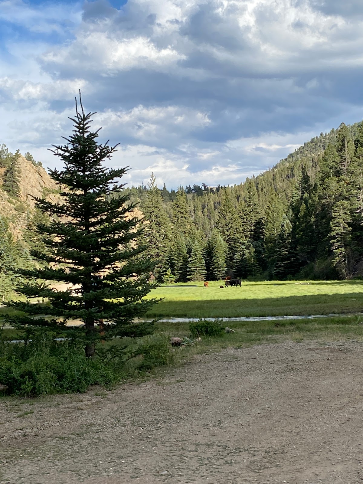 Rio Costilla Park & Campground