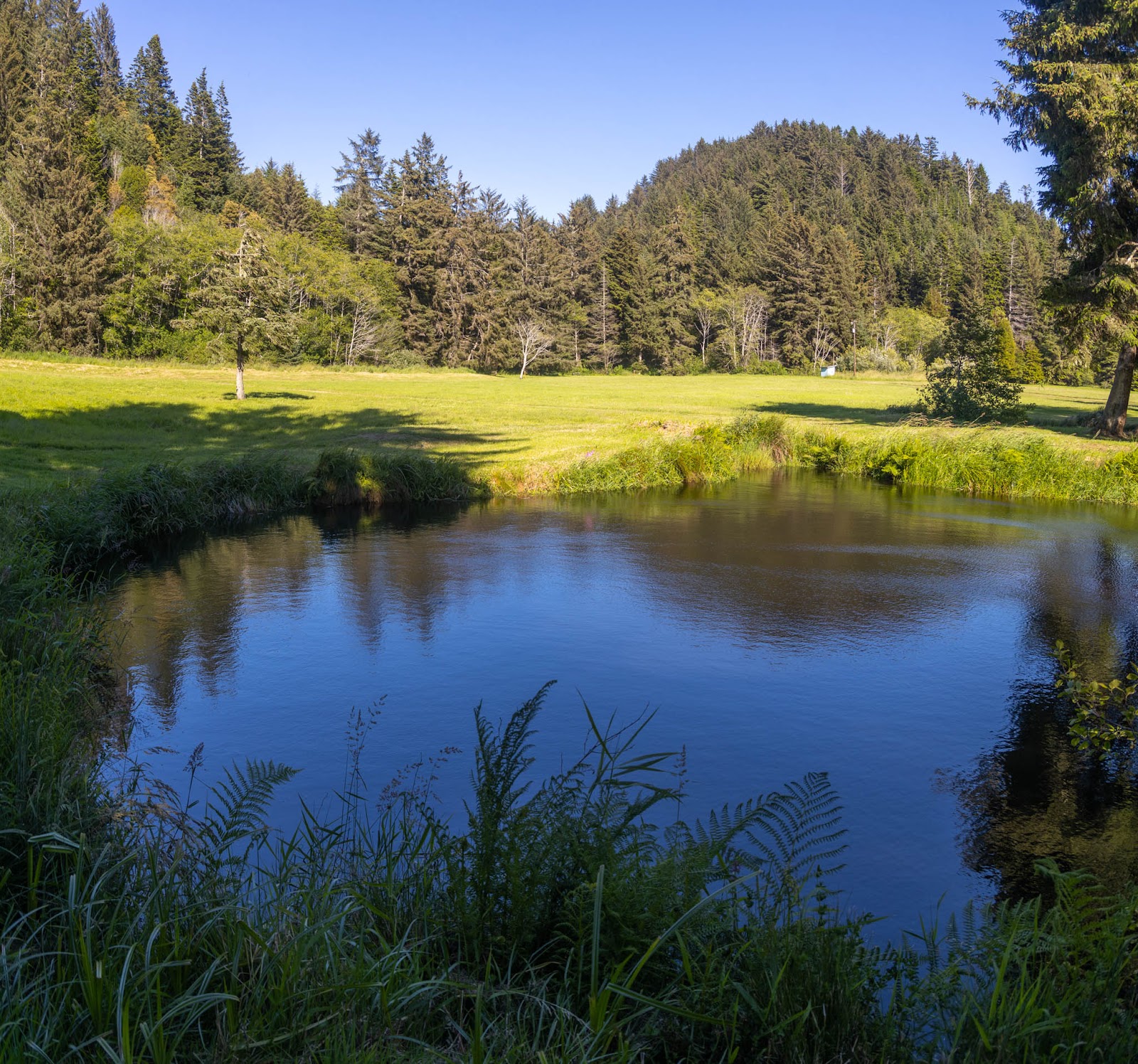 Honey Bear Campground & RV Resort