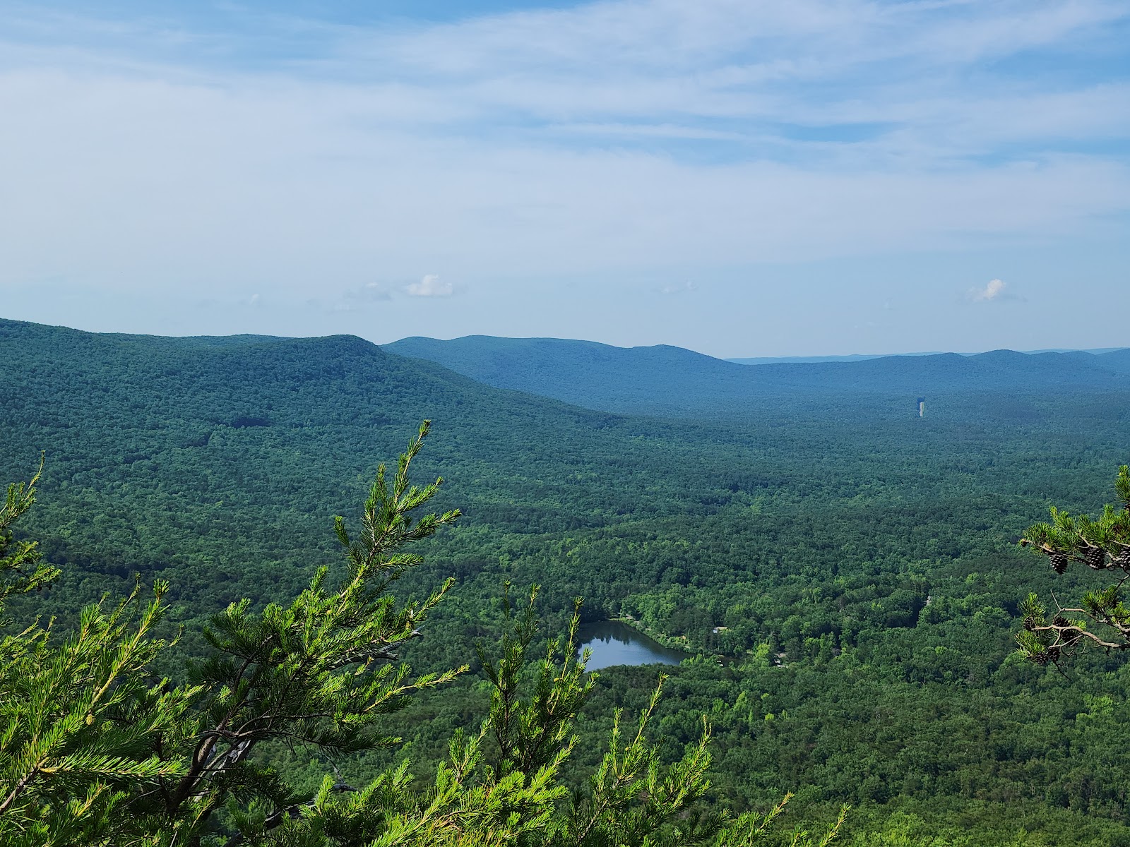 Talladega National Forest
