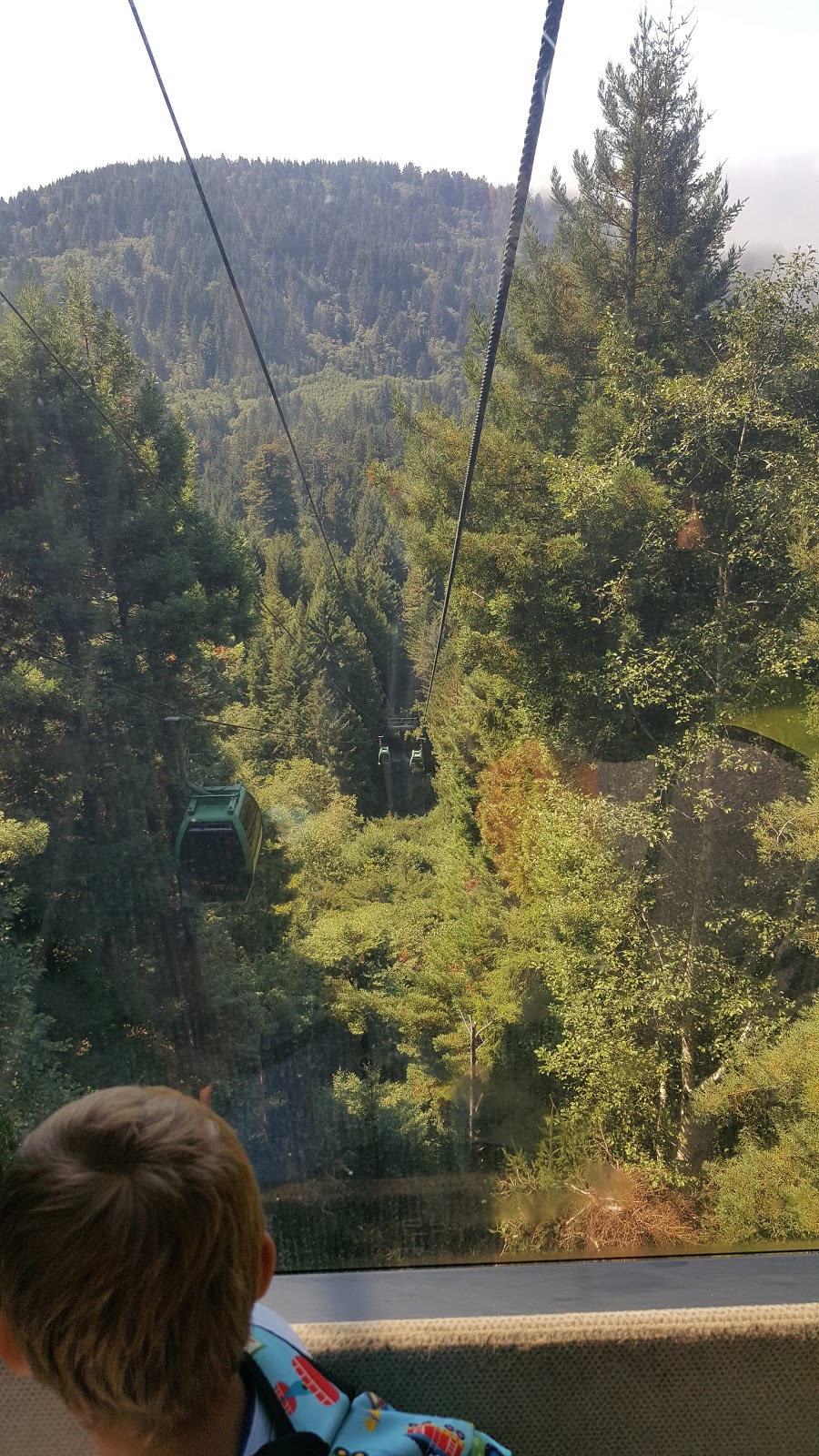 Camp Marigold Garden Cottages and RV Park