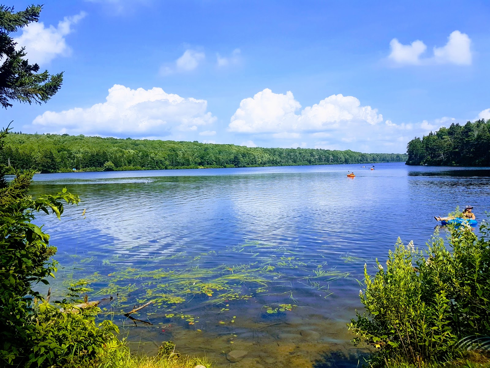 Grout Pond NF Campground