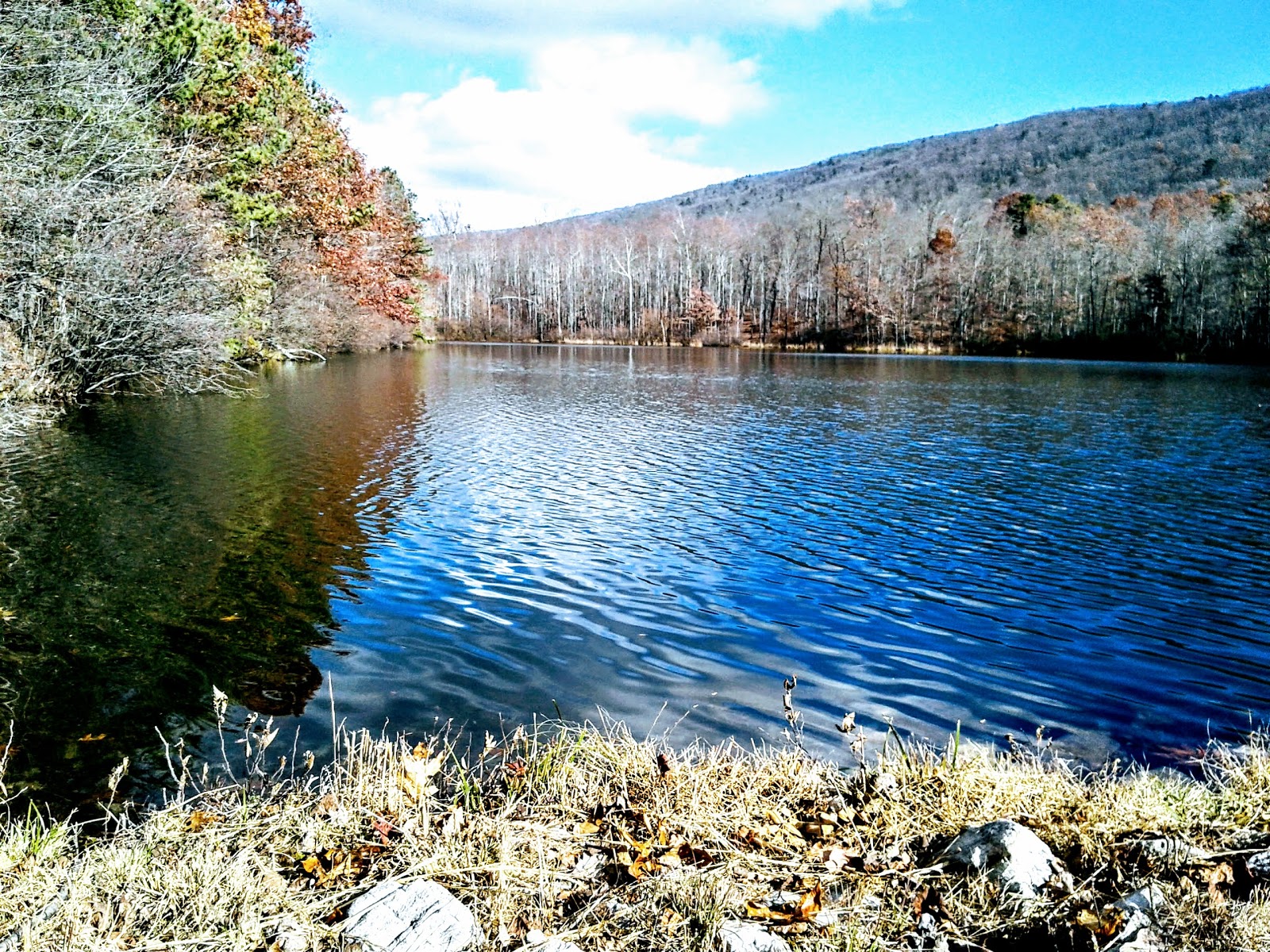 George Washington And Jefferson National Forest
