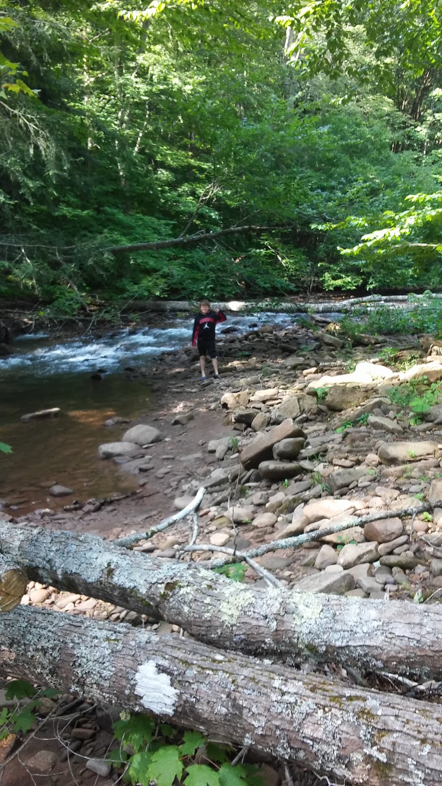 Day Run NF Campground