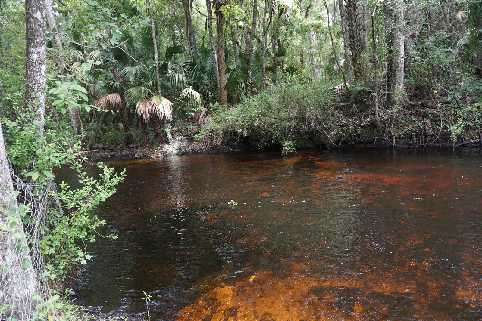 Shady Brook RV Resort