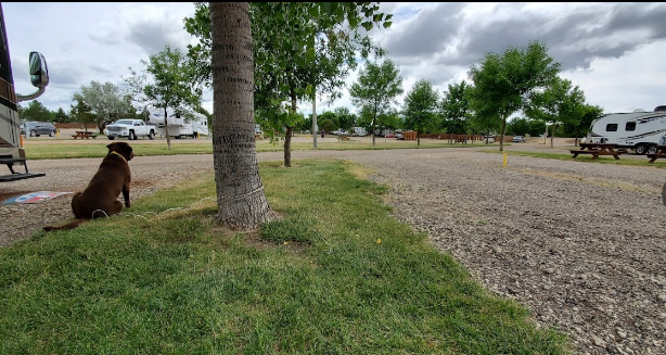 North Park Campground