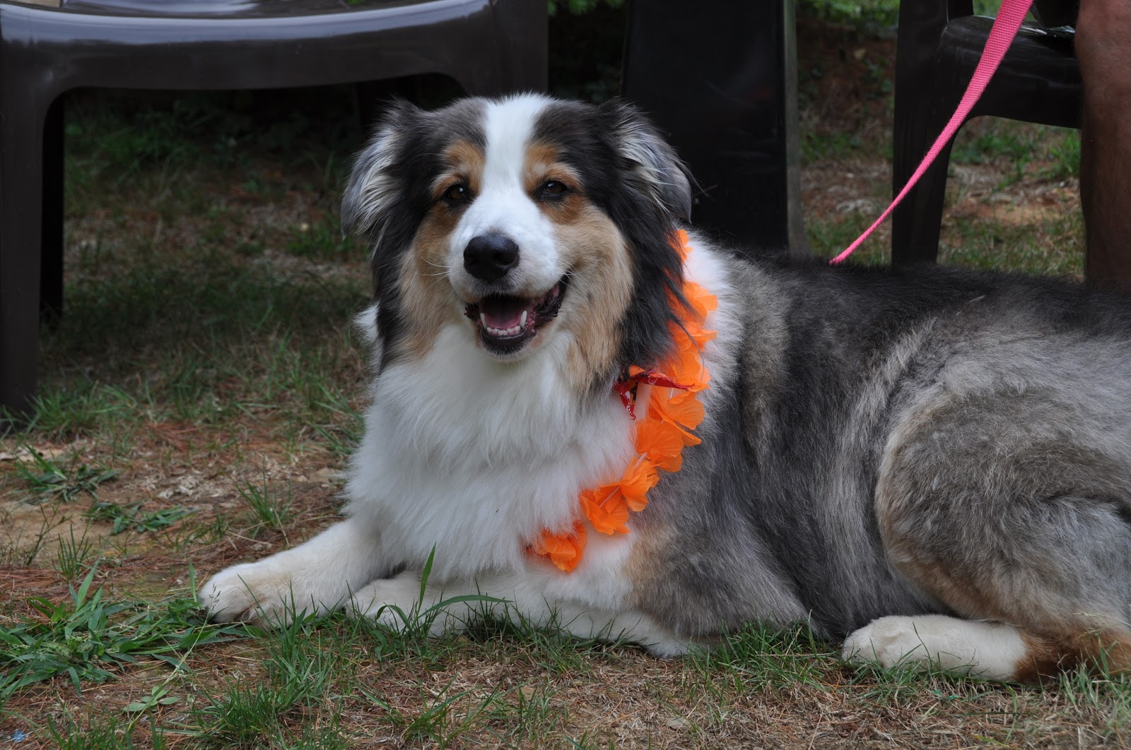 Lazy Frog Campground