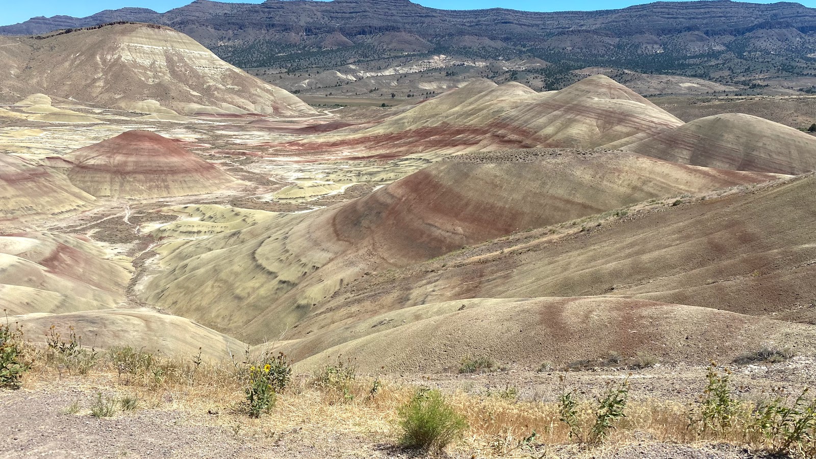 Ochoco Divide Campground