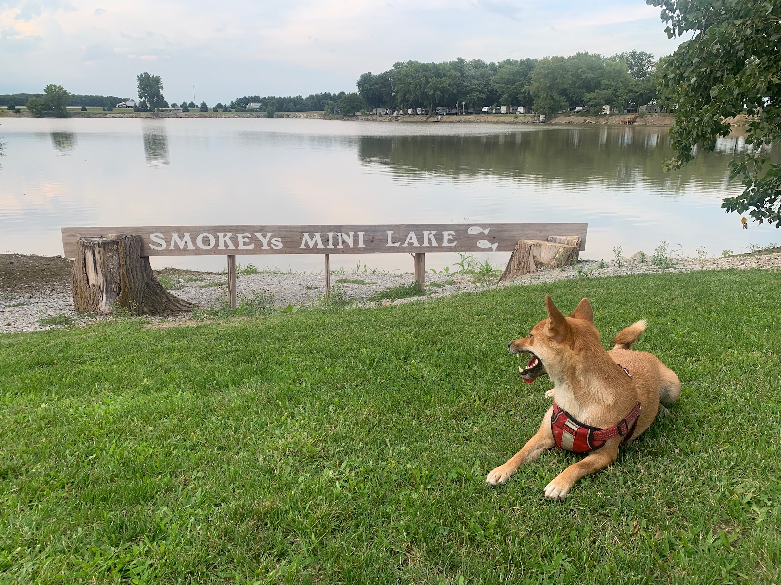 Smokeys Mini Lake Campgrounds