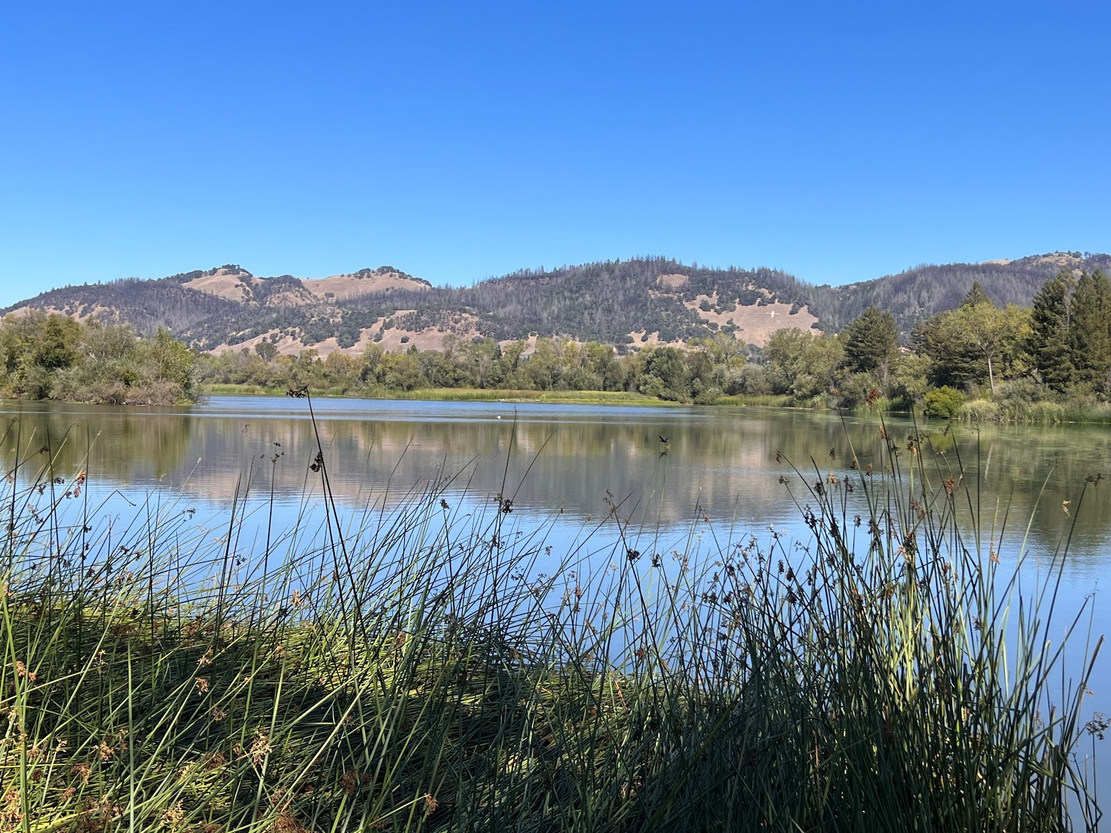 Spring Lake Regional Park