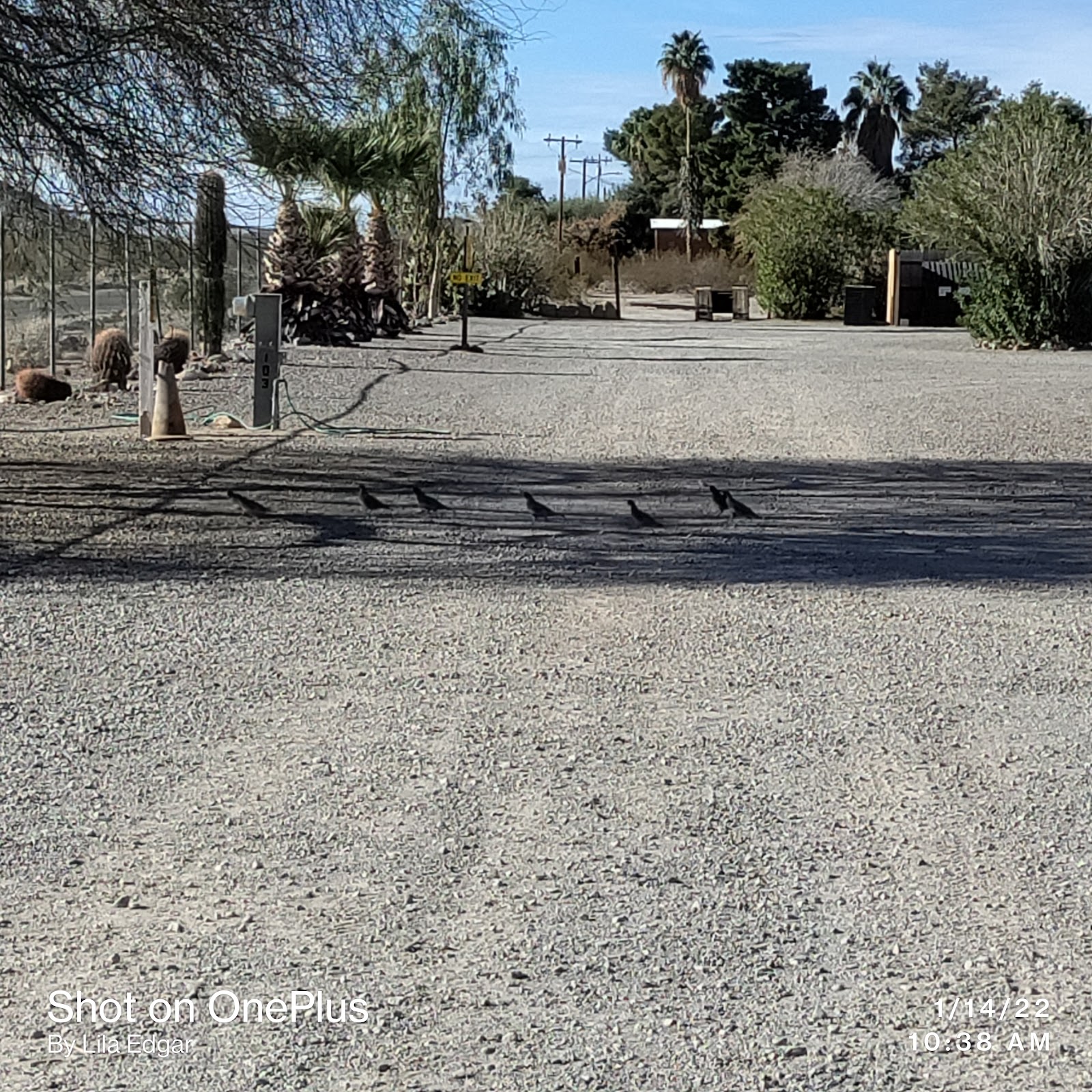 Sunbelt USA - Desert Vista RV Park