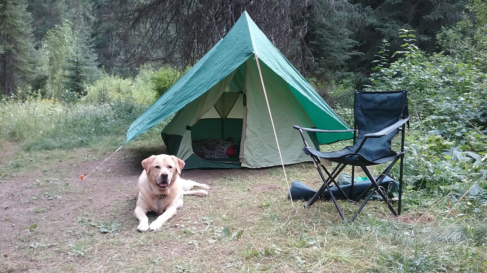 Spruce Tree Campground