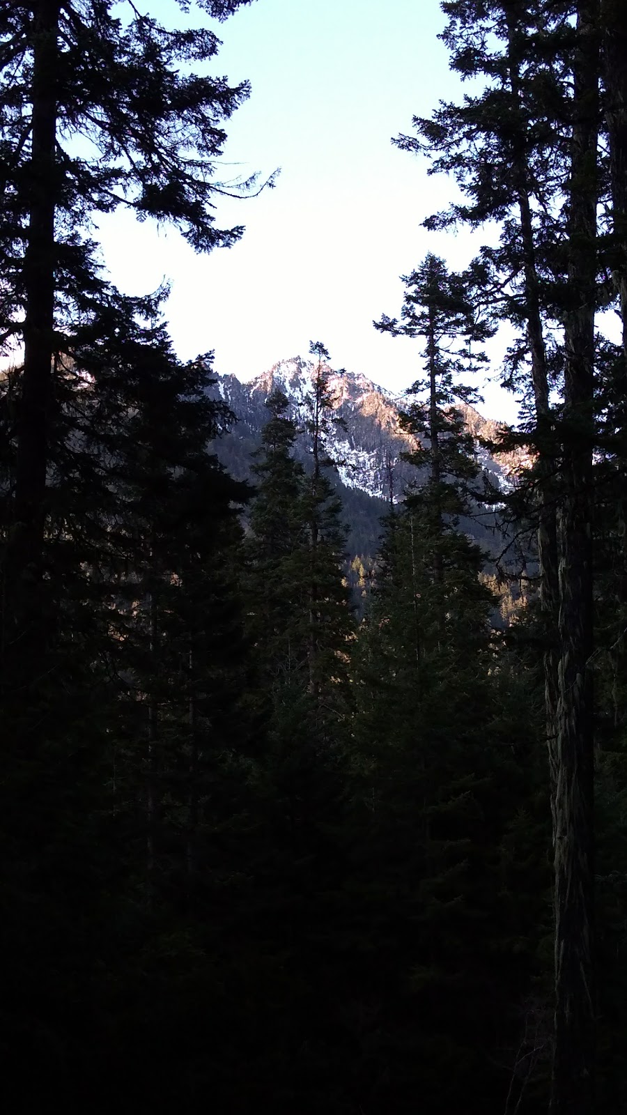 Black Pine Horse Camp