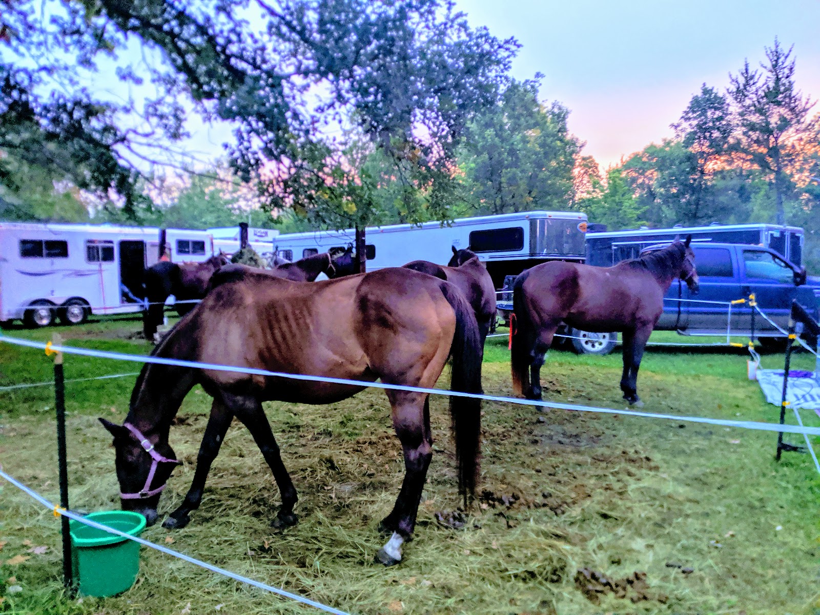 Walter E. Stark Assembly Area