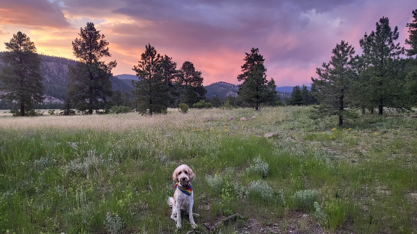 Beaver Creek Campground