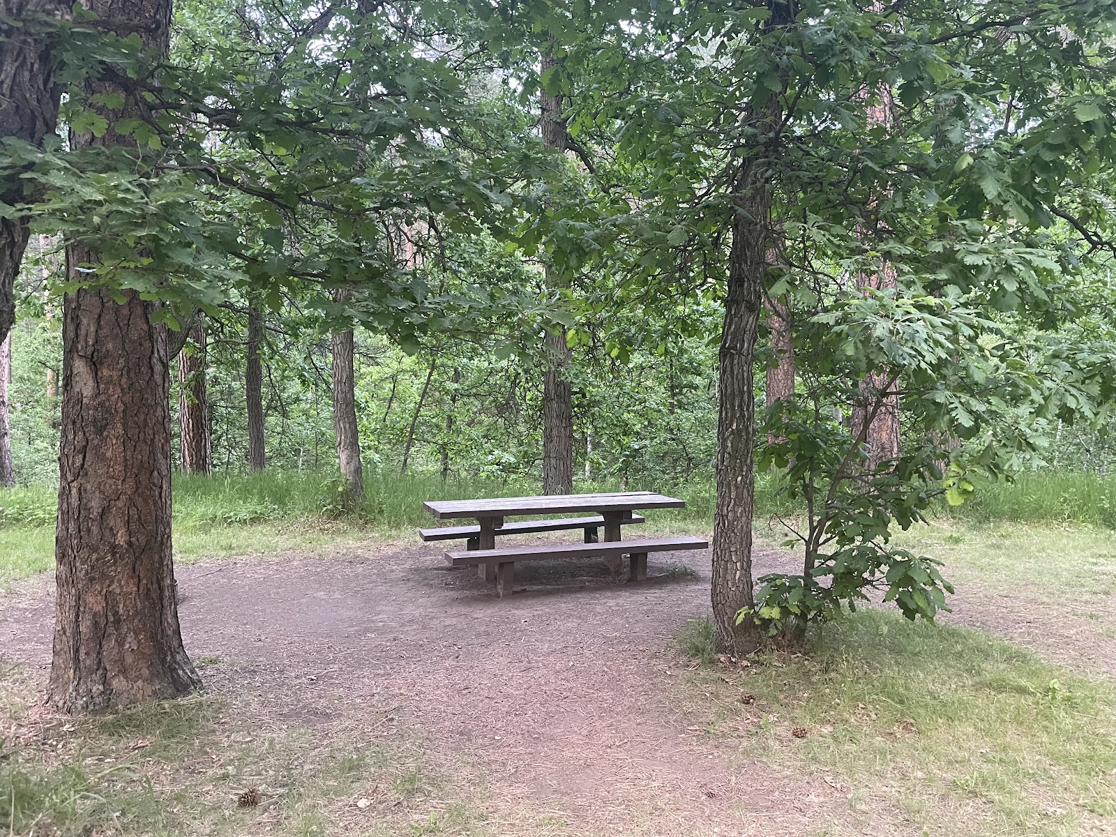 Grizzly Bear Campground