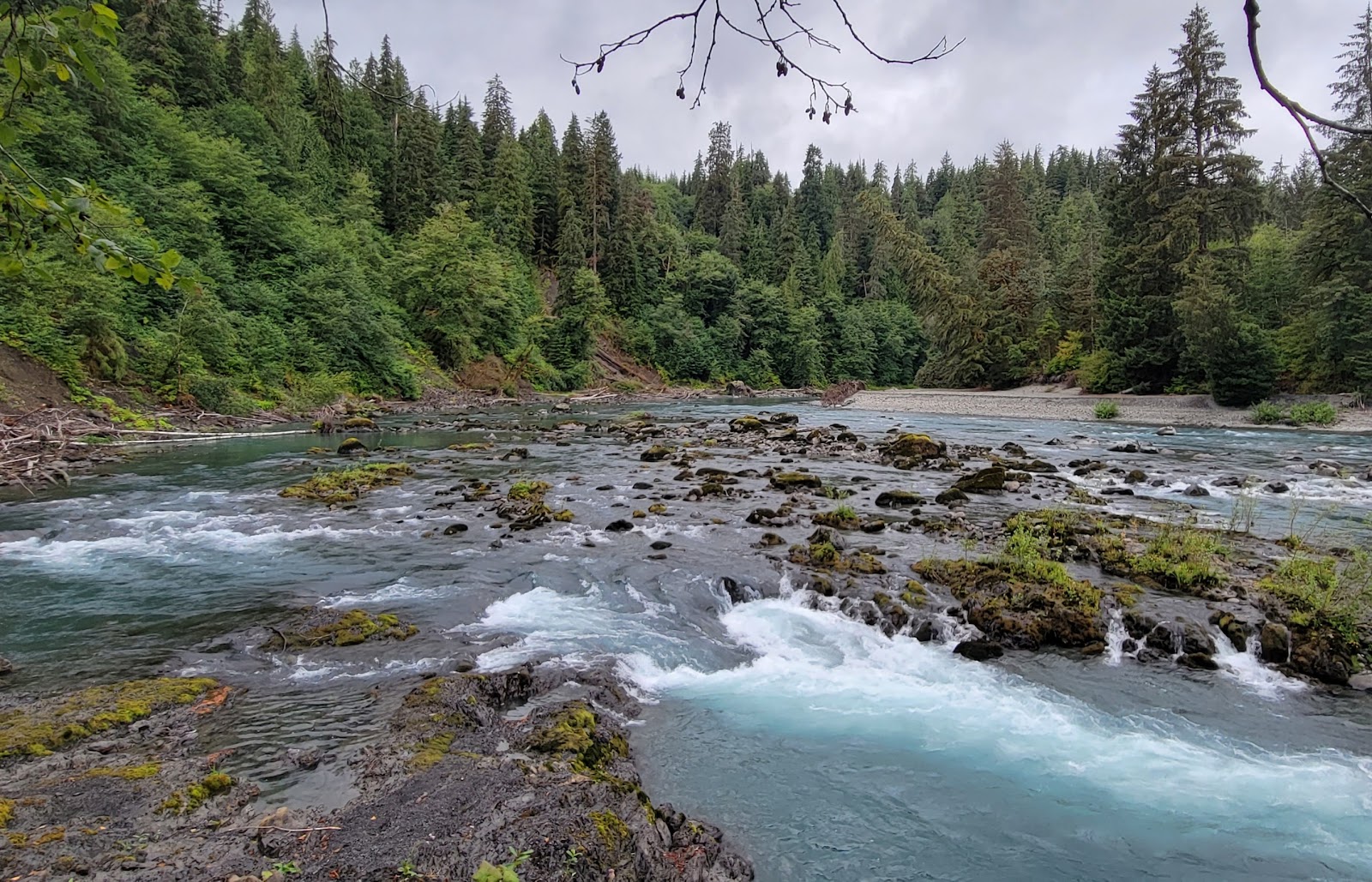 Hoh Oxbow Campground
