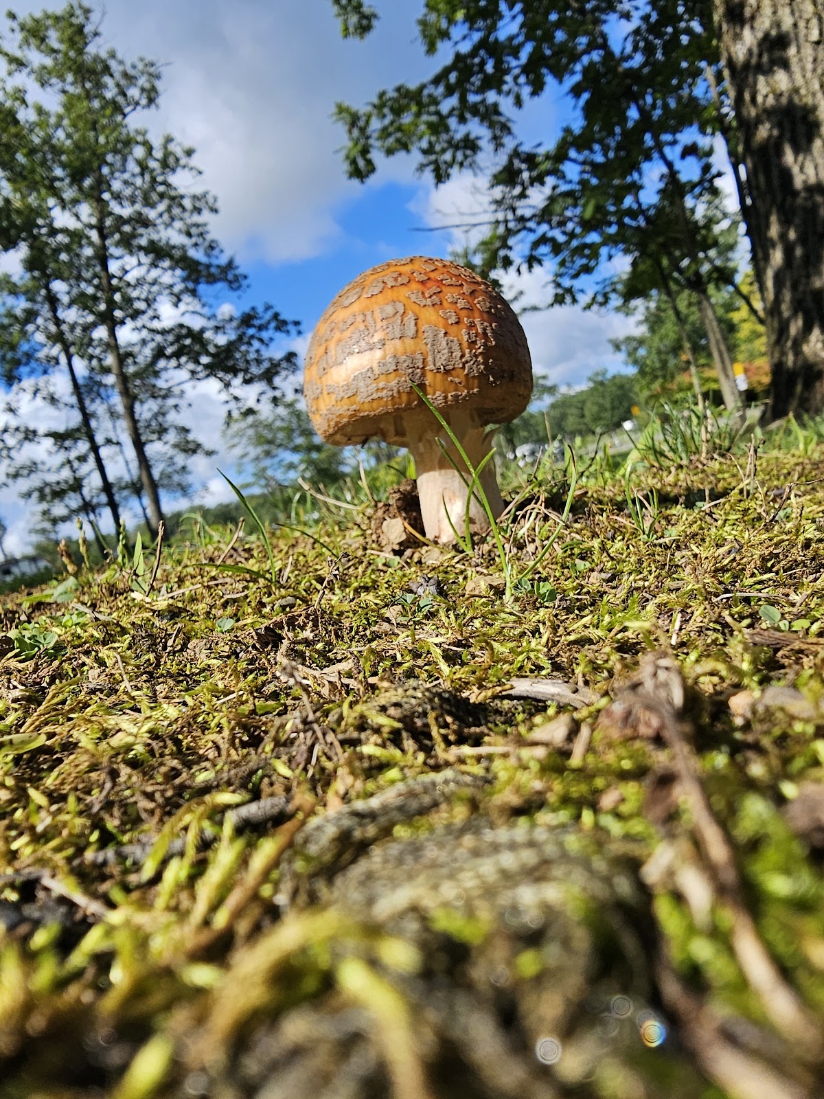 DuBois / Treasure Lake KOA