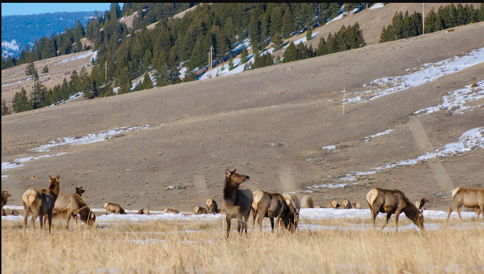 Grand Teton Campground Information Center
